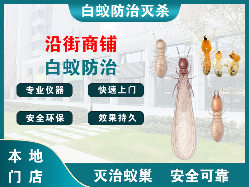 金山沿街商铺白蚁防治