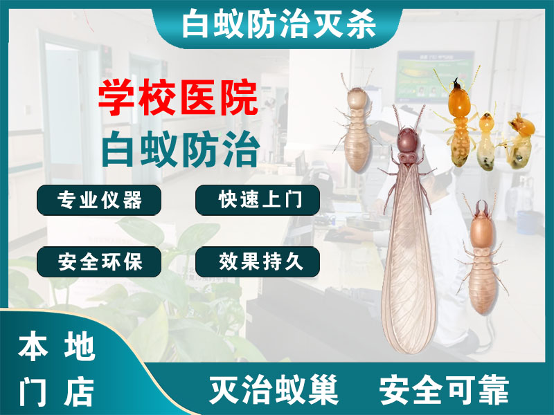 金山学校医院白蚁防治