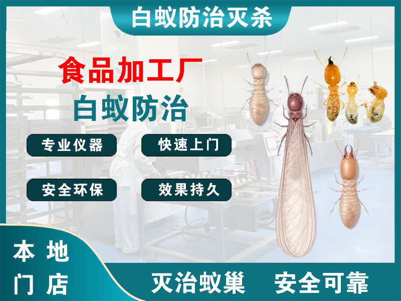 金山食品加工厂白蚁防治