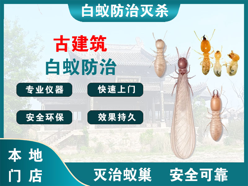 金山古建筑白蚁防治