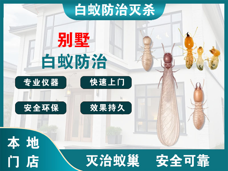 金山别墅白蚁防治