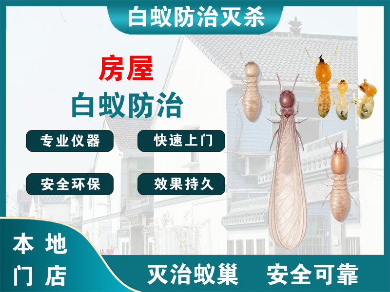 金山房屋白蚁防治